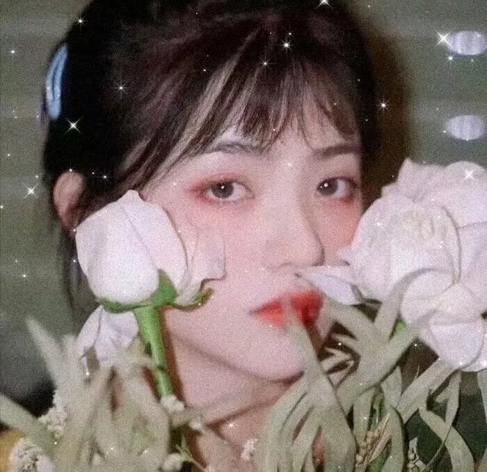 四戒